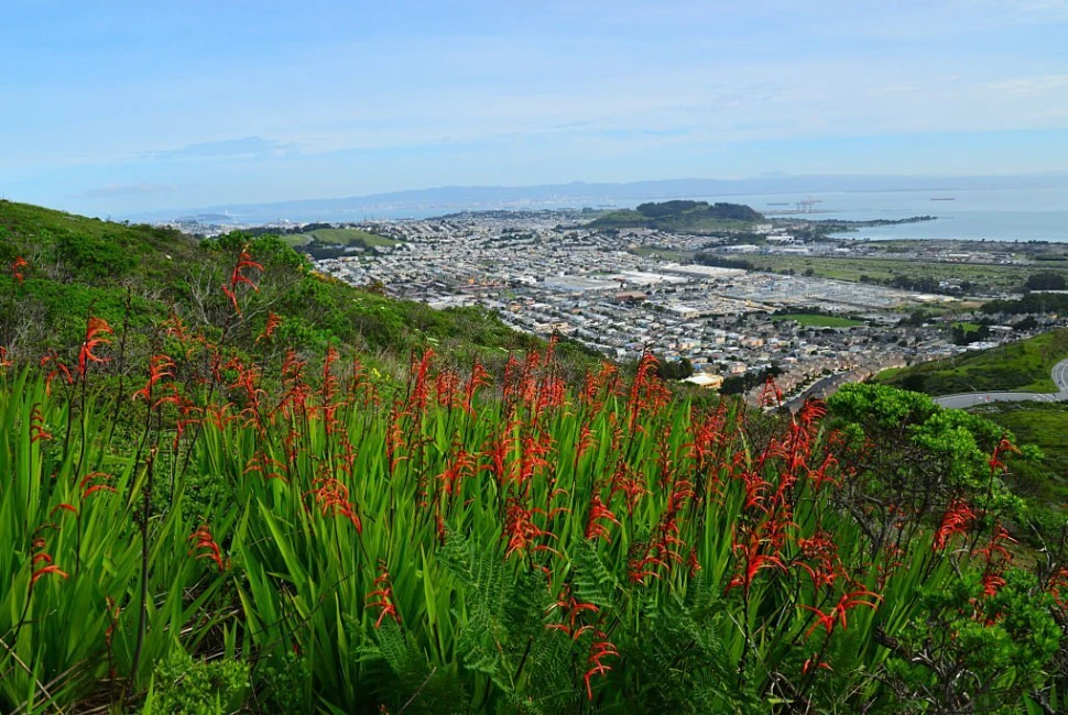 A Day of Adventure: San Bruno Outdoor Activities